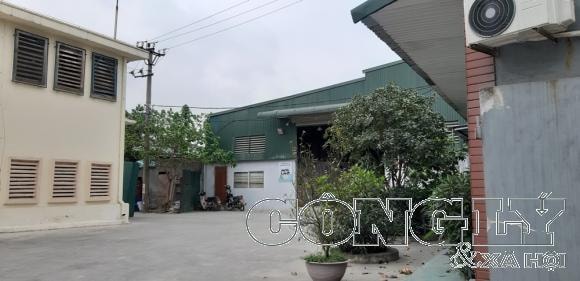 truong-quay-co-loa-w1000-h486.jpg