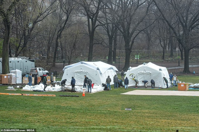 60.000 ca mắc Covid-19, New York lập bệnh viện dã chiến giữa Công viên Trung tâm