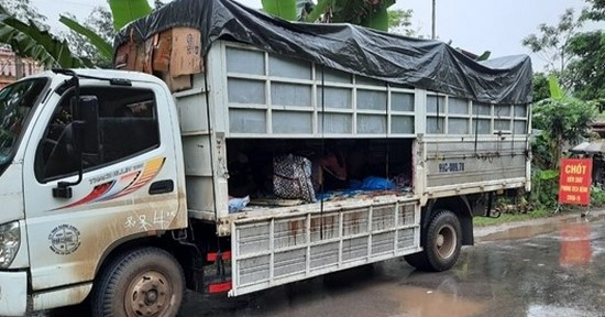 15 người trốn trong xe tải về quê viếng đám ma