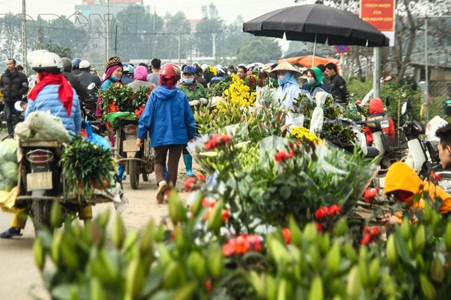 Bộ Y tế thông báo khẩn tới những người có mặt tại Chợ hoa Mê Linh từ ngày 20/3 đến nay