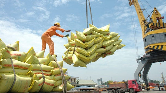 Yêu cầu làm rõ việc mở tờ khai xuất khẩu gạo