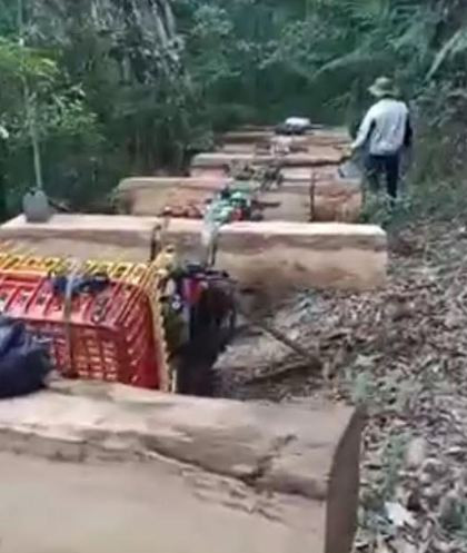 Kon Tum: Cơ quan chức năng bắt vụ vận chuyển gỗ trong đêm