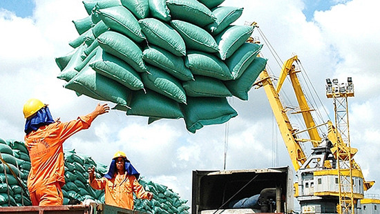 Tạm ứng trước hạn ngạch 100 nghìn tấn gạo xuất khẩu trong tháng 5/2020