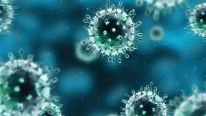 Virus SARS-CoV-2 ở Indonesia là chủng virus chưa được xác định