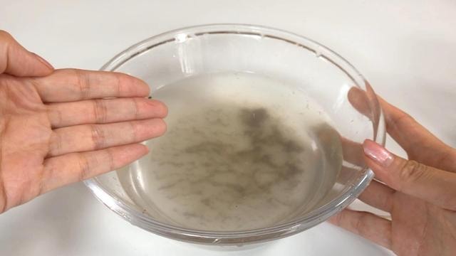 làm sạch ngao 2 làm sạch ngao 2