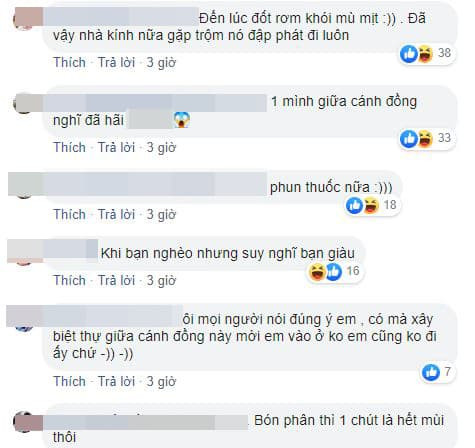 nhà cấp bốn giữa cánh đồng  2