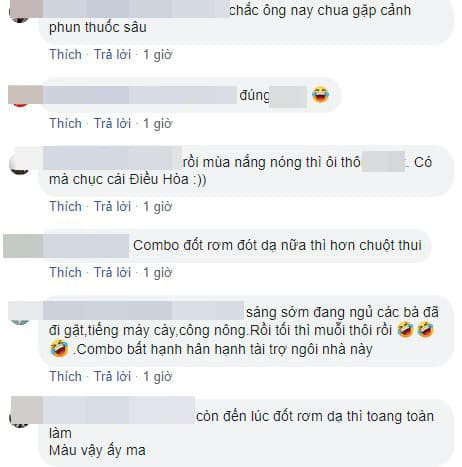 nhà cấp bốn giữa cánh đồng  1
