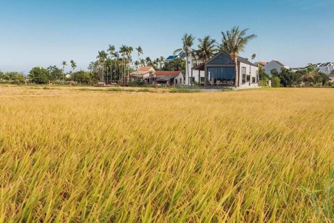 mẫu nhà cấp bốn đẹp  8