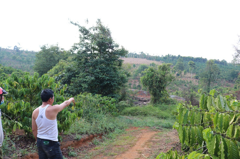 anh-dm-1-w1000-h666.JPG