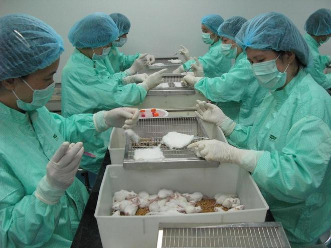 Việt Nam tiêm thử nghiệm đợt 2 vắc xin Covid-19 trên chuột