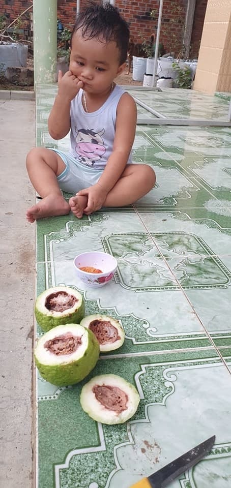 trộm ổi hàng xóm 0