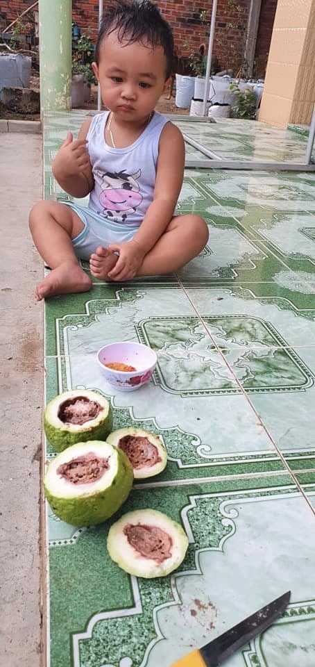trộm ổi hàng xóm 5