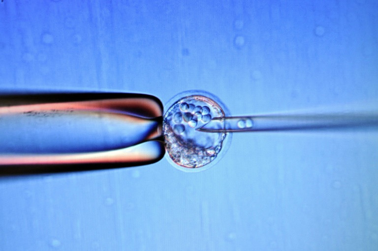 Trẻ sơ sinh Nhật Bản có tế bào gốc gan đầu tiên trên thế giới 