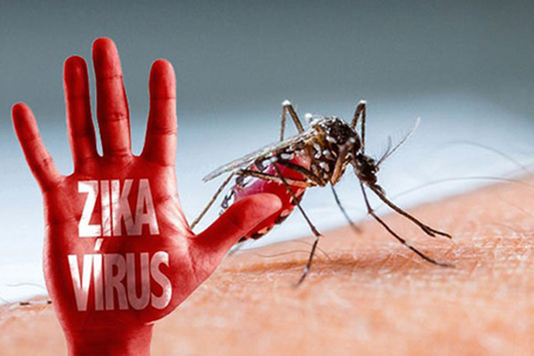 Phát hiện ca bệnh do virus Zika tại Đà Nẵng