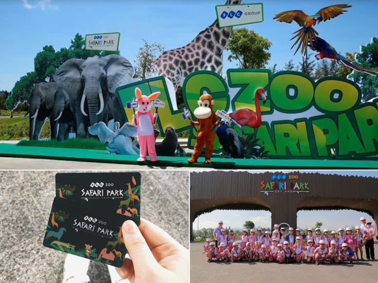 FLC Zoo Safari Park Quy Nhơn - Điểm đến không thể bỏ lỡ trong hành trình khám phá “xứ Nẫu” 