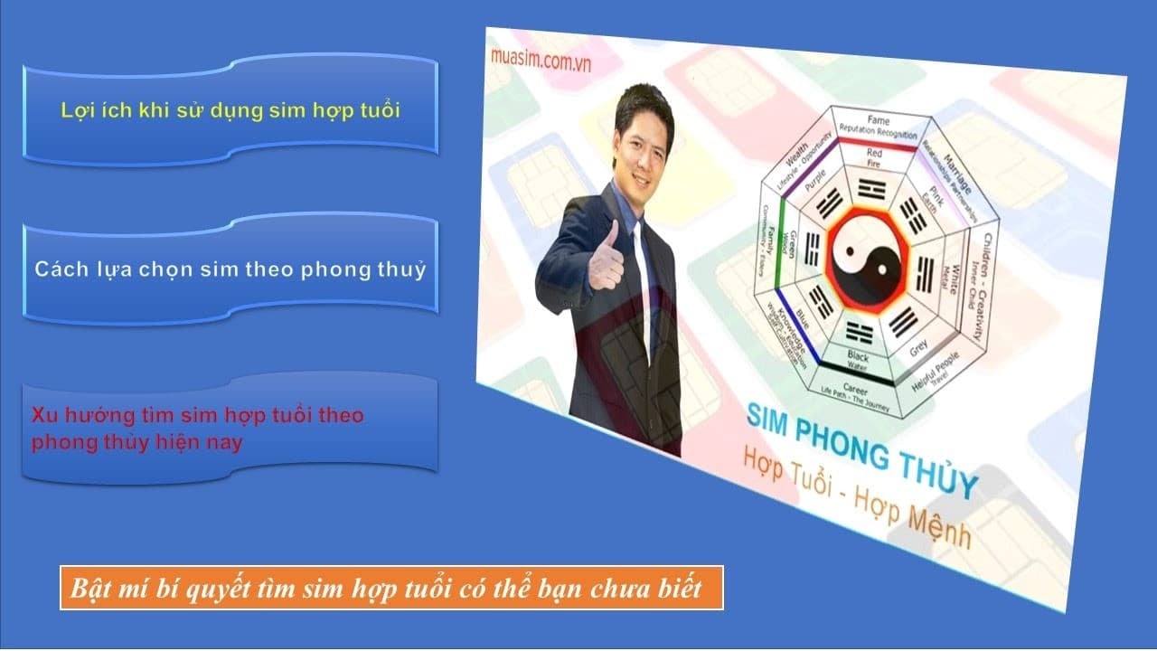 sim-phong-thuy-275-2-ngoisaovn-w1280-h720 0
