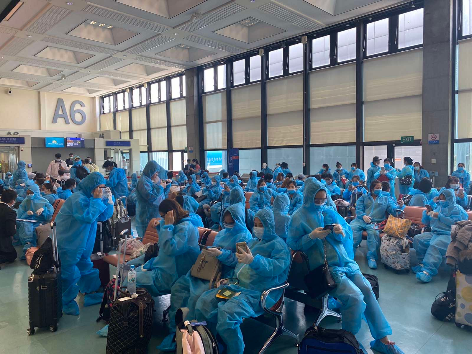 Hơn 340 công dân Việt Nam mắc kẹt tại Đài Loan do dịch COVID-19 về nước an toàn