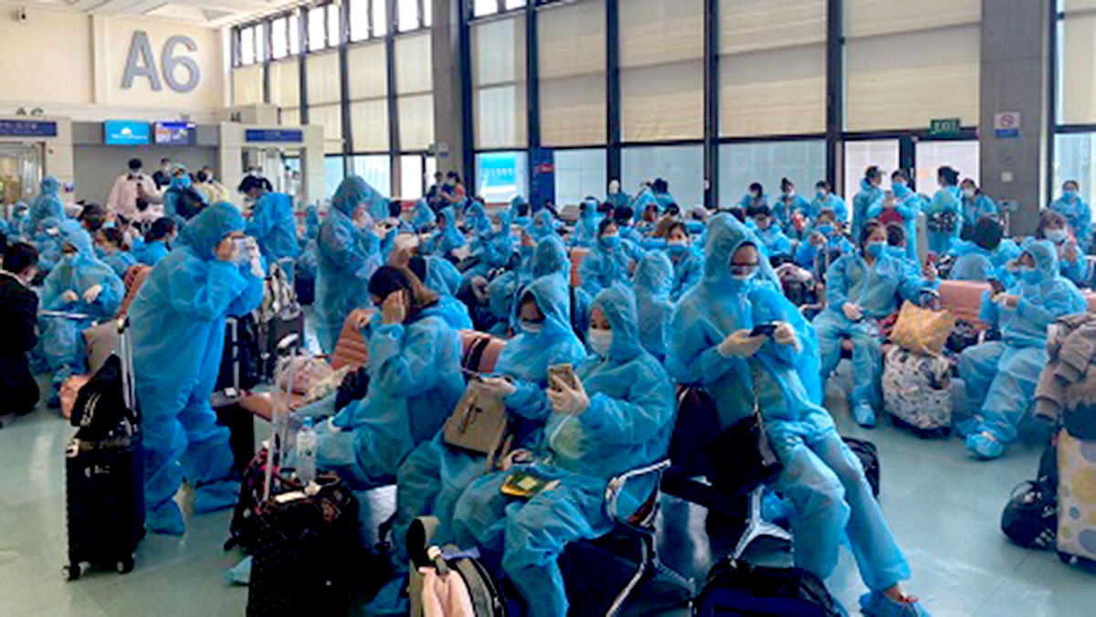 Hơn 340 công dân Việt Nam từ Đài Loan (Trung Quốc) được đưa về nước