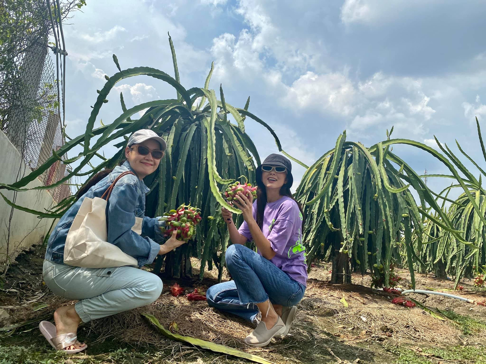 Về quê làm vườn, trồng cây, Hà Tăng vẫn thể hiện thần thái đỉnh cao không ai sánh kịp 3