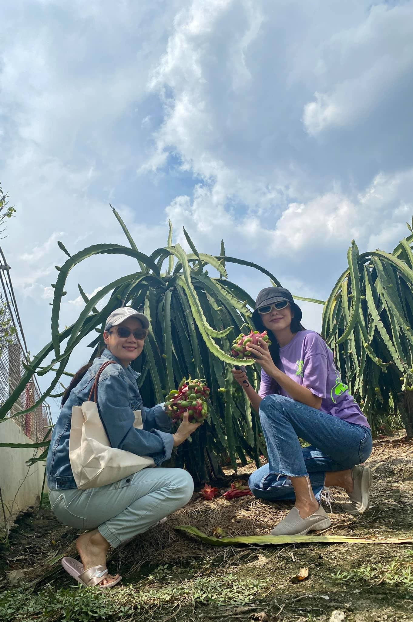 Về quê làm vườn, trồng cây, Hà Tăng vẫn thể hiện thần thái đỉnh cao không ai sánh kịp 2