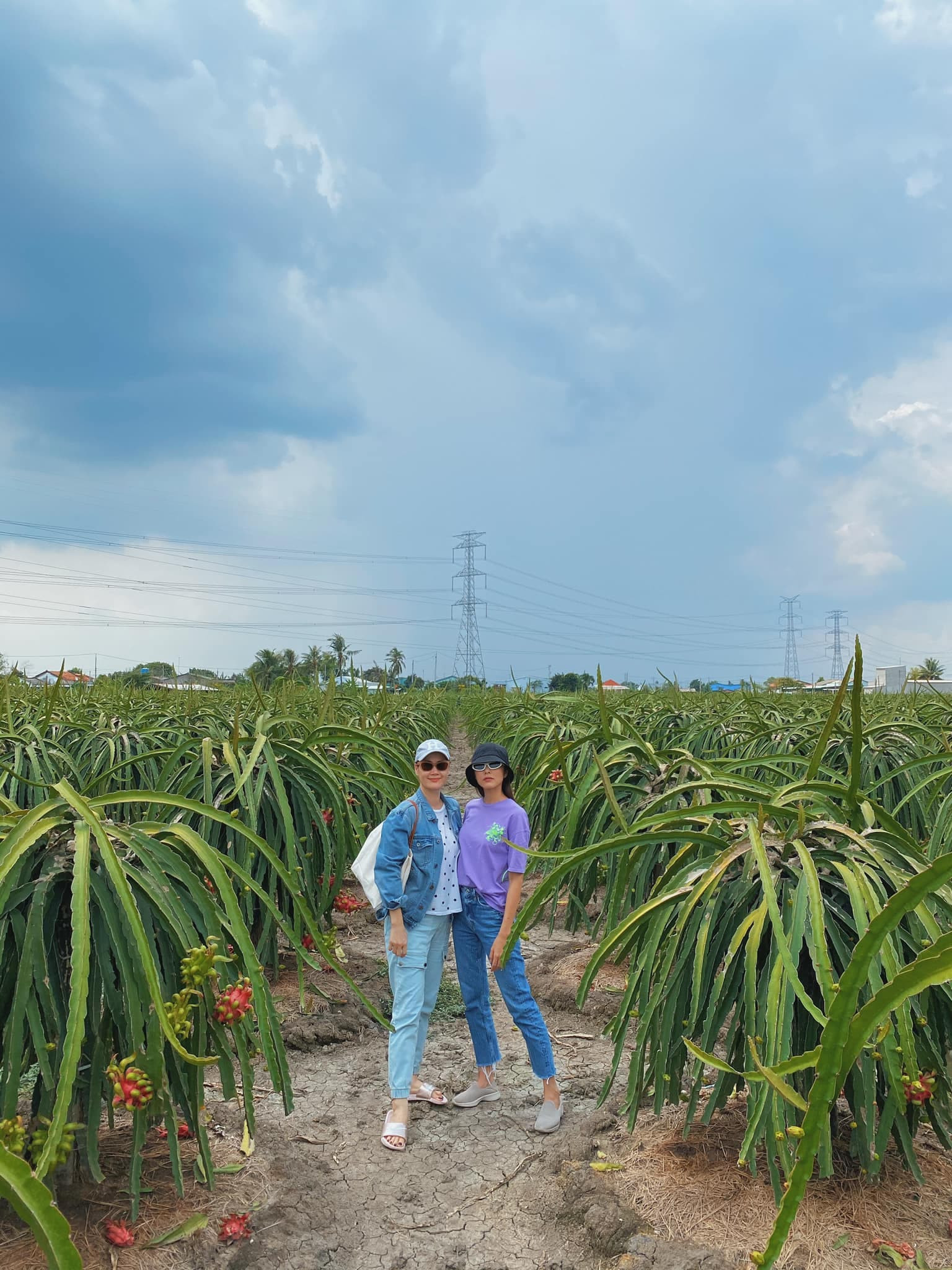 Về quê làm vườn, trồng cây, Hà Tăng vẫn thể hiện thần thái đỉnh cao không ai sánh kịp 1