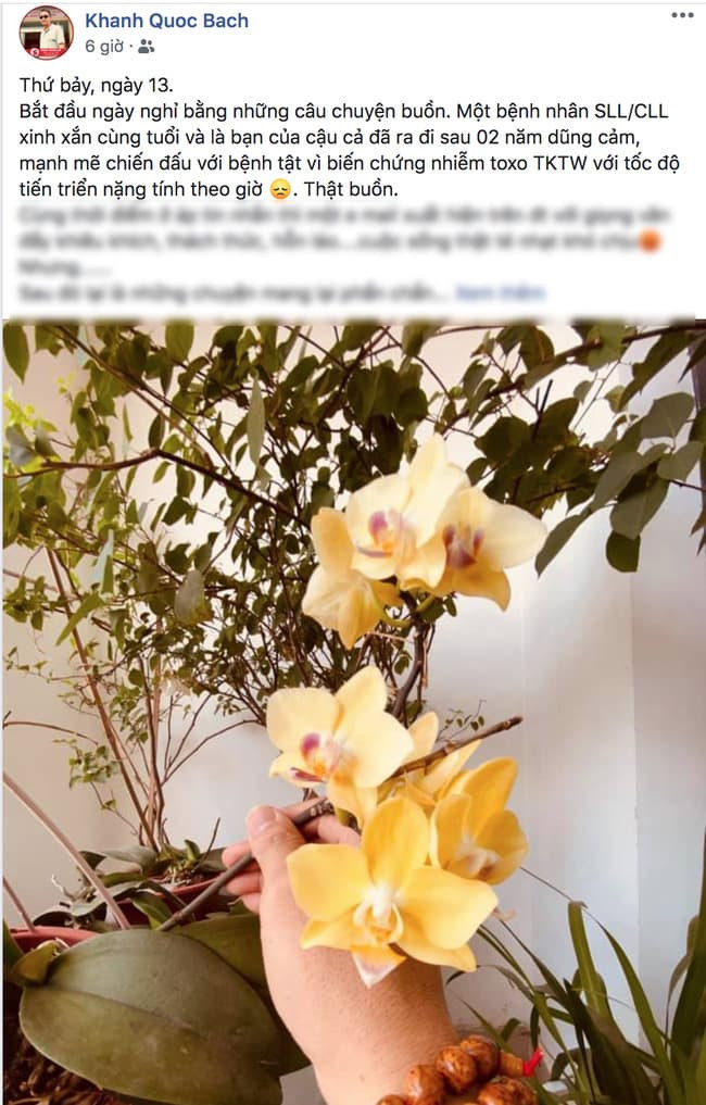 MC Diệu Linh qua đời 1 MC Diệu Linh qua đời 1