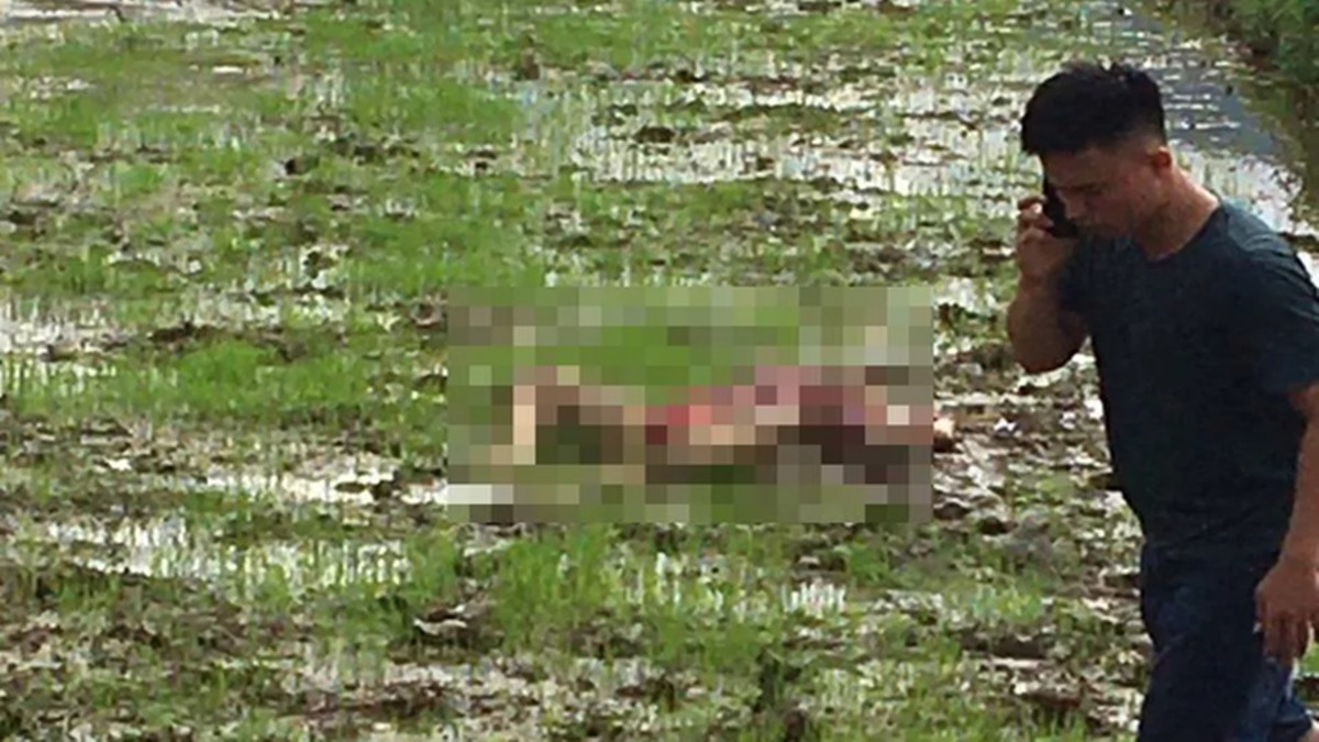 Điều tra vụ trọng án khiến 3 người tử vong ở Điện Biên
