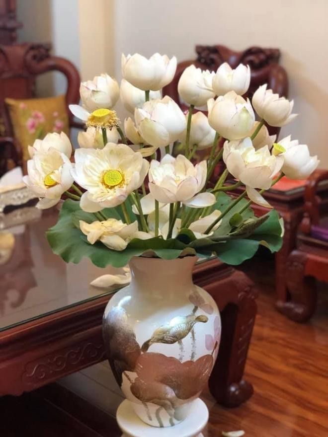 cách chọn hoa sen  0