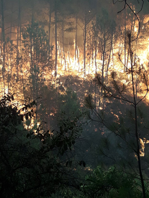 Nghệ An: Cháy lớn uy hiếp rừng của nhiều xã