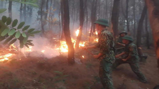 Liên tiếp xảy ra cháy rừng ở Nghệ An