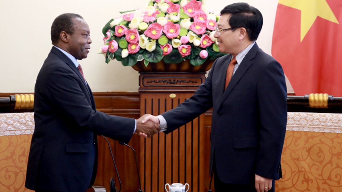 Việt Nam sẽ hỗ trợ khẩu trang y tế cho Angola và một số nước châu Phi
