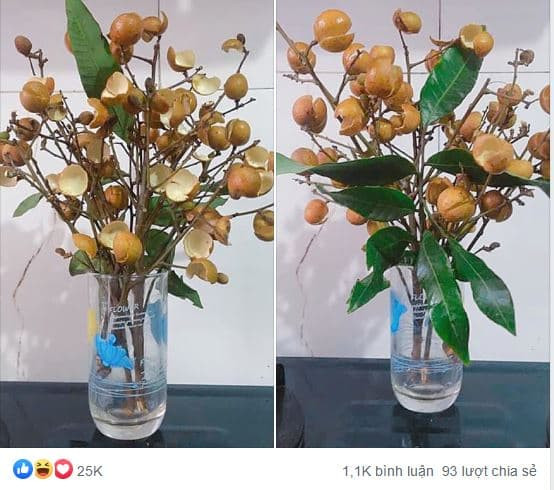 bình hoa độc lạ 1 bình hoa độc lạ 1