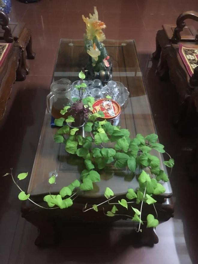 bình hoa độc lạ 3 bình hoa độc lạ 3