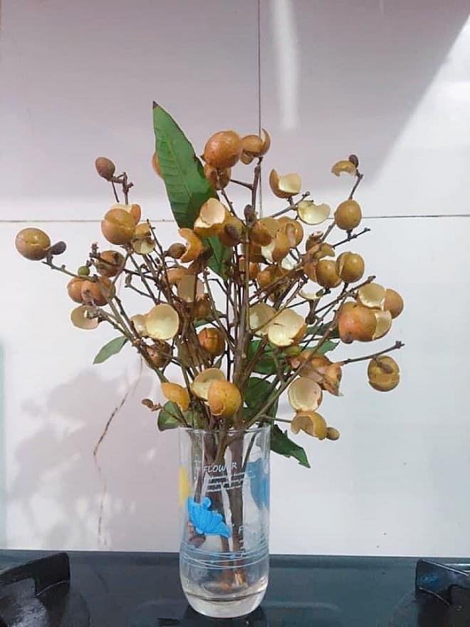 bình hoa độc lạ 5 bình hoa độc lạ 5
