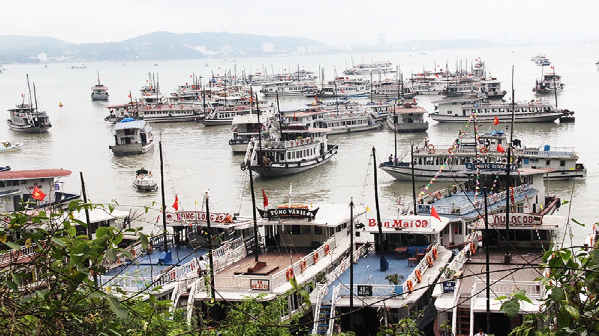 Quảng Ninh dừng cấp phép xuất bến tàu tham quan Vịnh Hạ Long