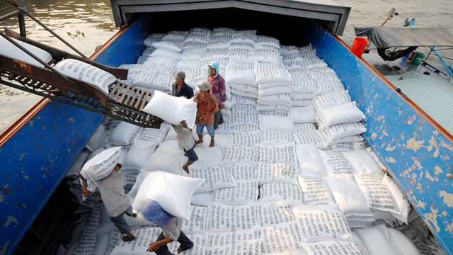 Giá gạo xuất khẩu Việt Nam vươn lên dẫn đầu thế giới - Ảnh 1.