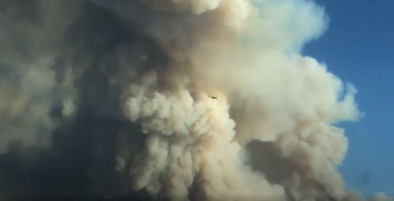 Cháy rừng dữ dội ở California buộc hàng ngàn người phải sơ tán