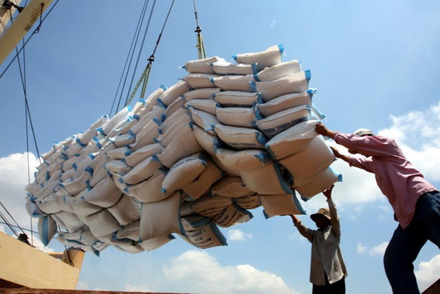Giá gạo Việt xuất khẩu vươn lên dẫn đầu thế giới