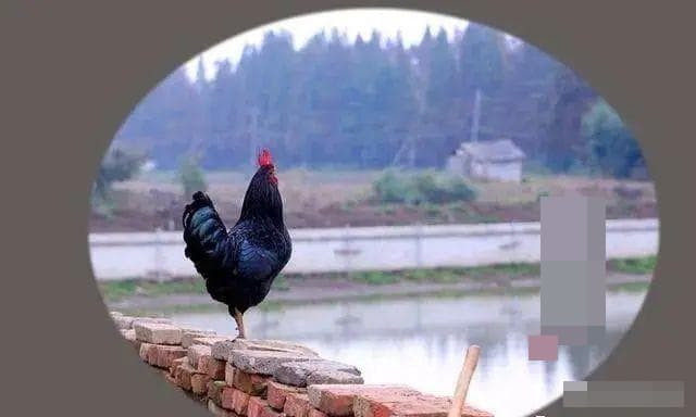 cau-noi-noi-tieng.jpg 1