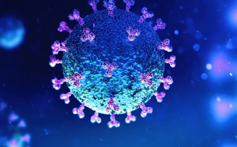 Tin vắn thế giới ngày 17/8: Thụy Sĩ phát hiện virus SARS-CoV-2 trong da người