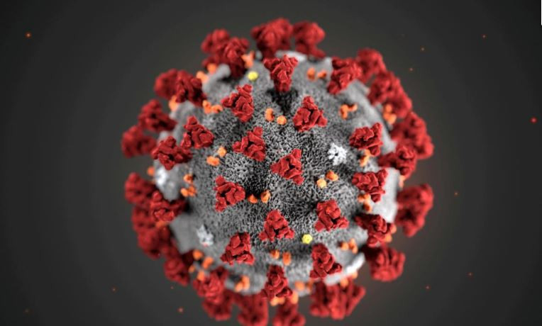 Chuyên gia cho biết đột biến virus corona lây nhiễm nhiều hơn có thể là “một điều tốt”