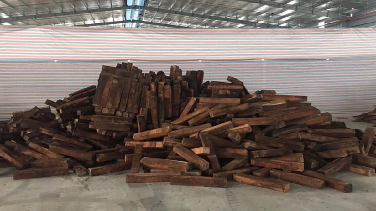 Bắt giữ 60 container nghi là gỗ Giáng hương trị giá 20 tỉ đồng