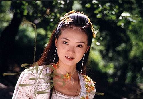 vương diễm 2