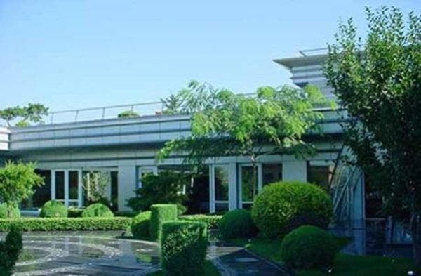 vương diễm 7