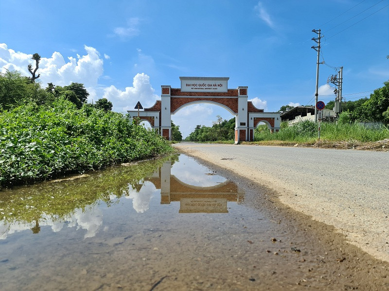 Cỏ mọc um tùm trên vỉa hè con đường vào ĐHQG Hà Nội tại Hòa Lạc. 