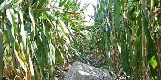 núi nhỏ nhất thế giới 2