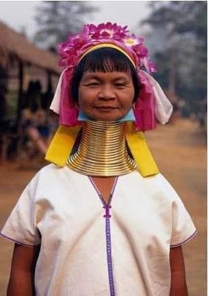 co-dai (1).jpg 0