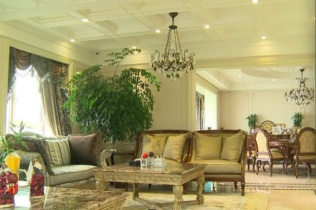 Vợ chồng 'Vi Phi' Trương Đình mua nhà cao hàng chục tầng, Lâm Thụy Dương đích thân chống nạng đến giám sát 4
