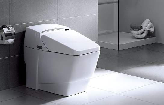 gioăng chống mùi nhà vệ sinh 1