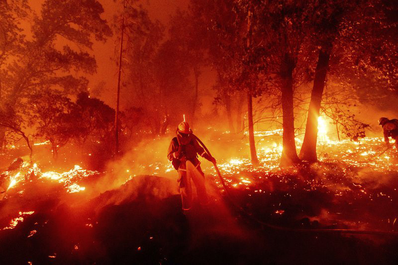 Cháy rừng thiêu rụi diện tích lớn ở California  - Ảnh 1.